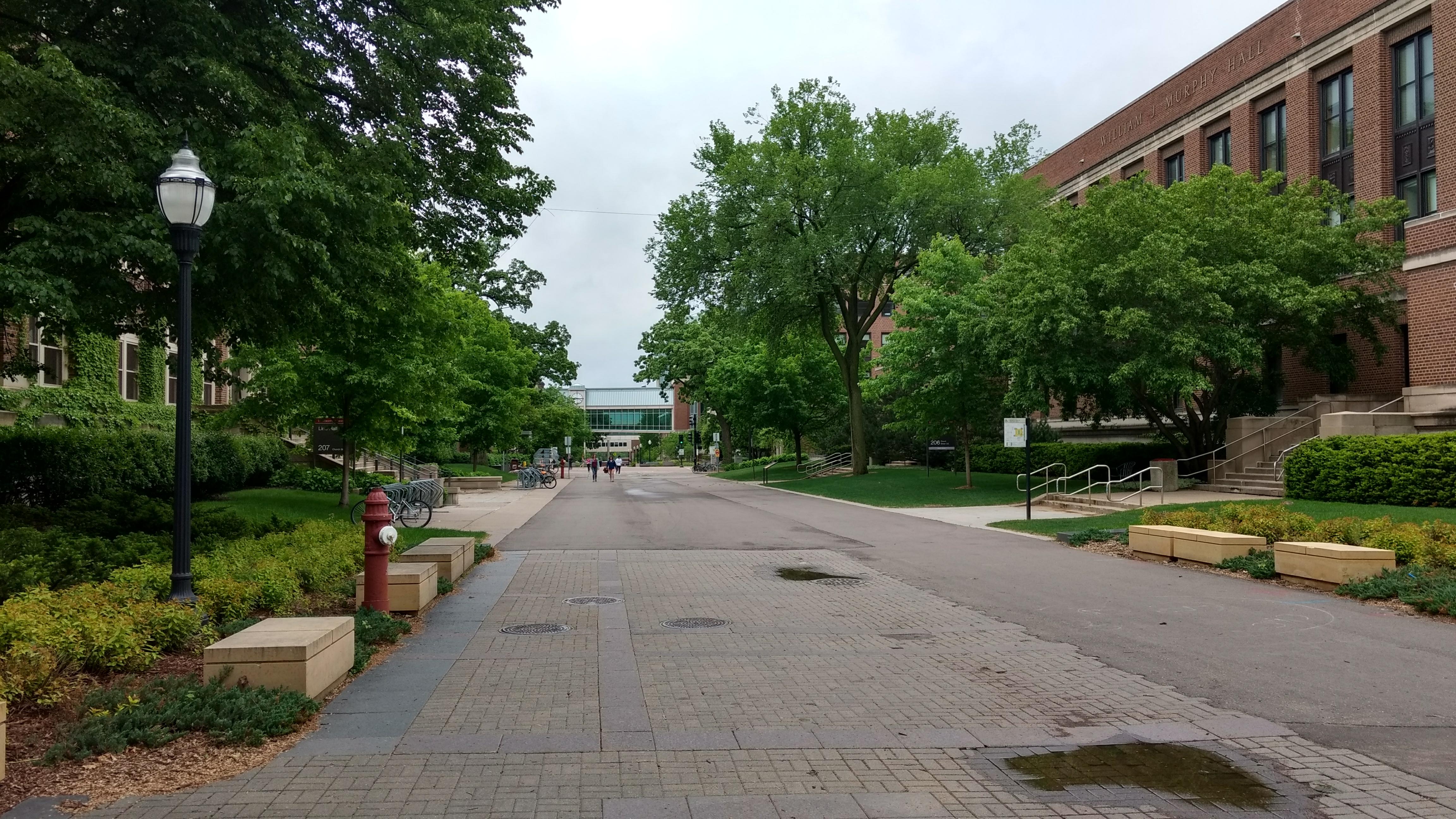 Photo - Outside - Park or Tree on 2017-05-17