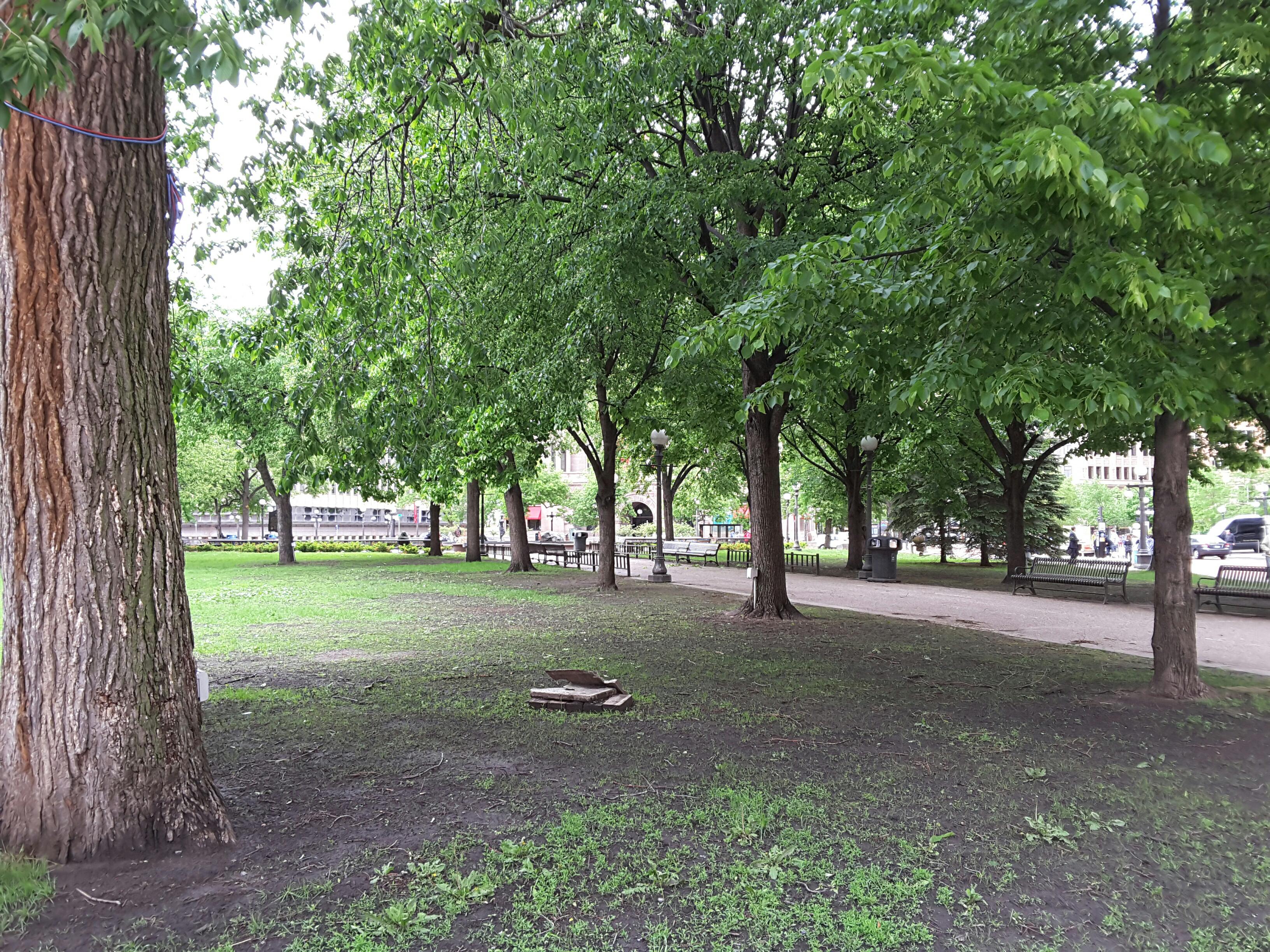 Photo - Outside - Park or Tree on 2017-05-18