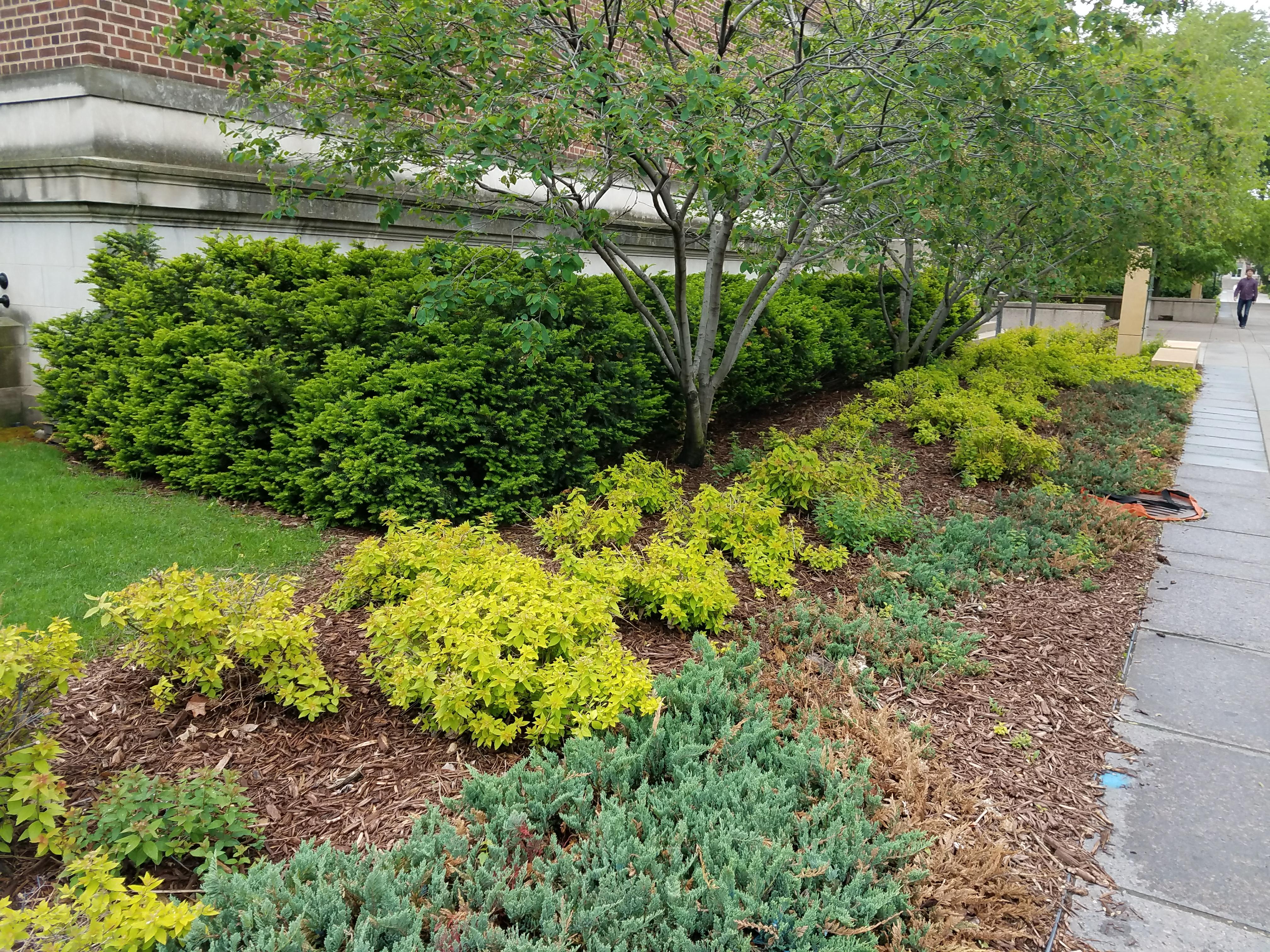 Photo - Outside - Park or Tree on 2017-05-17