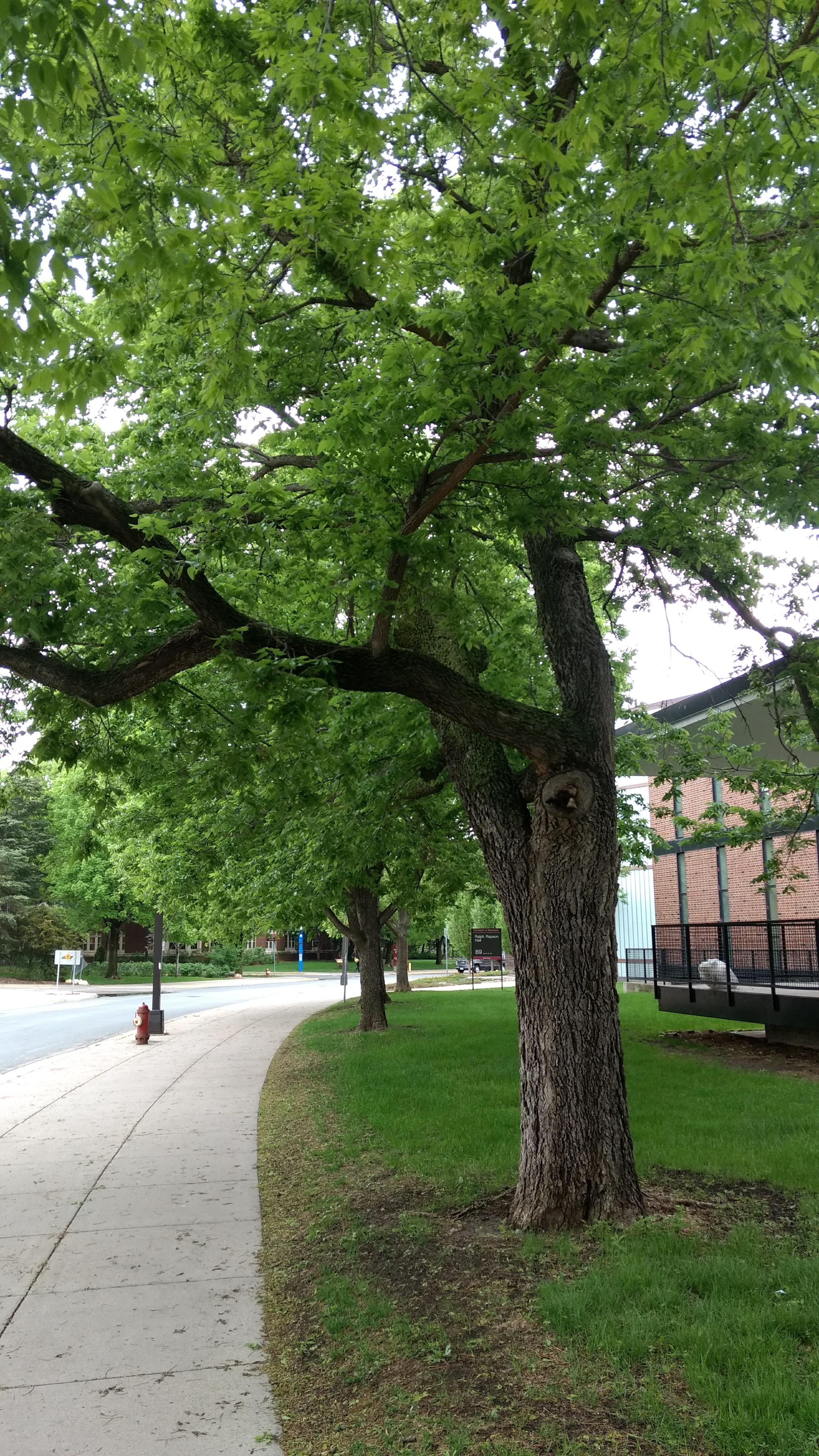 Photo - Outside - Park or Tree on 2017-05-17