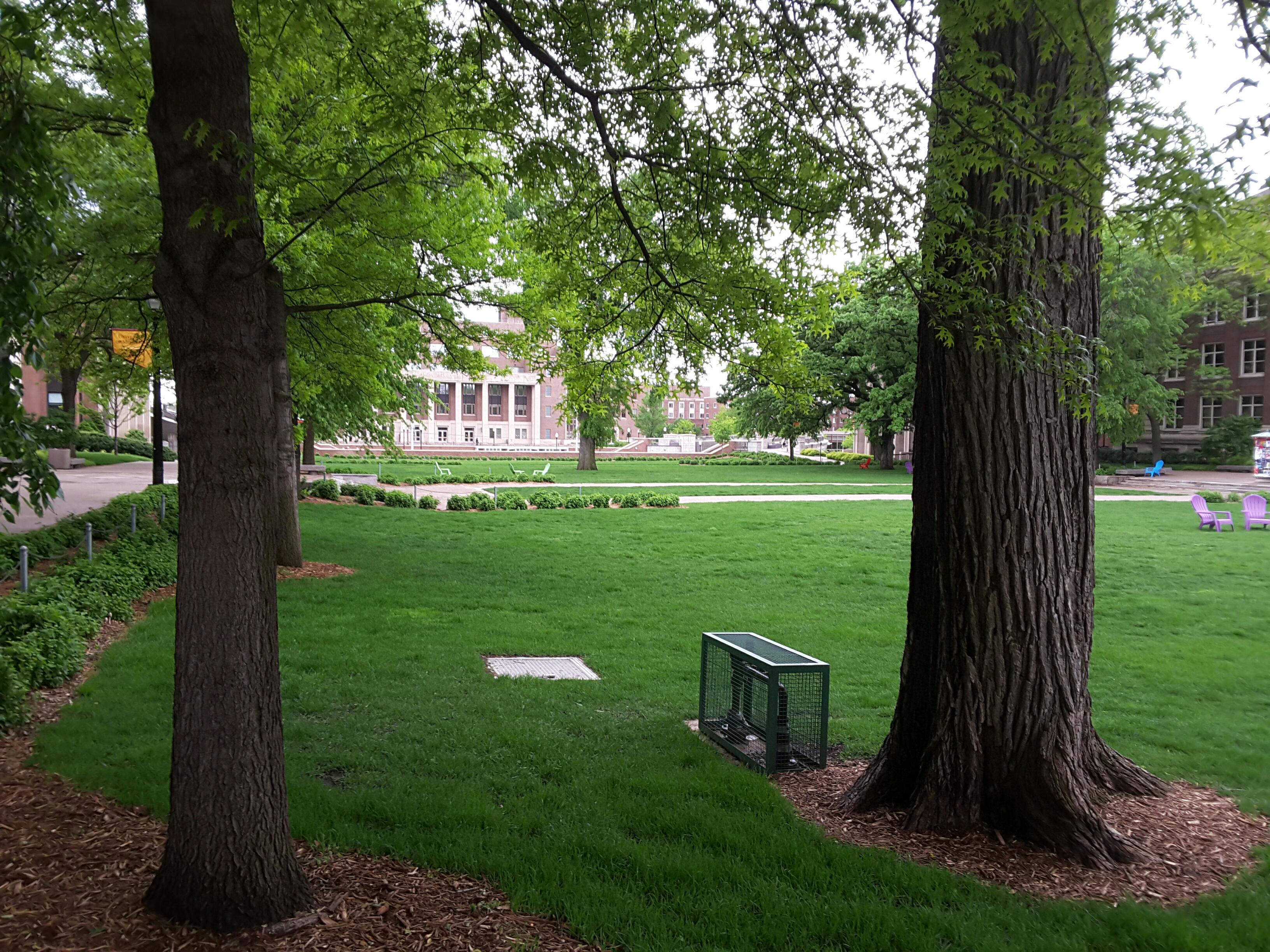 Photo - Outside - Park or Tree on 2017-05-17