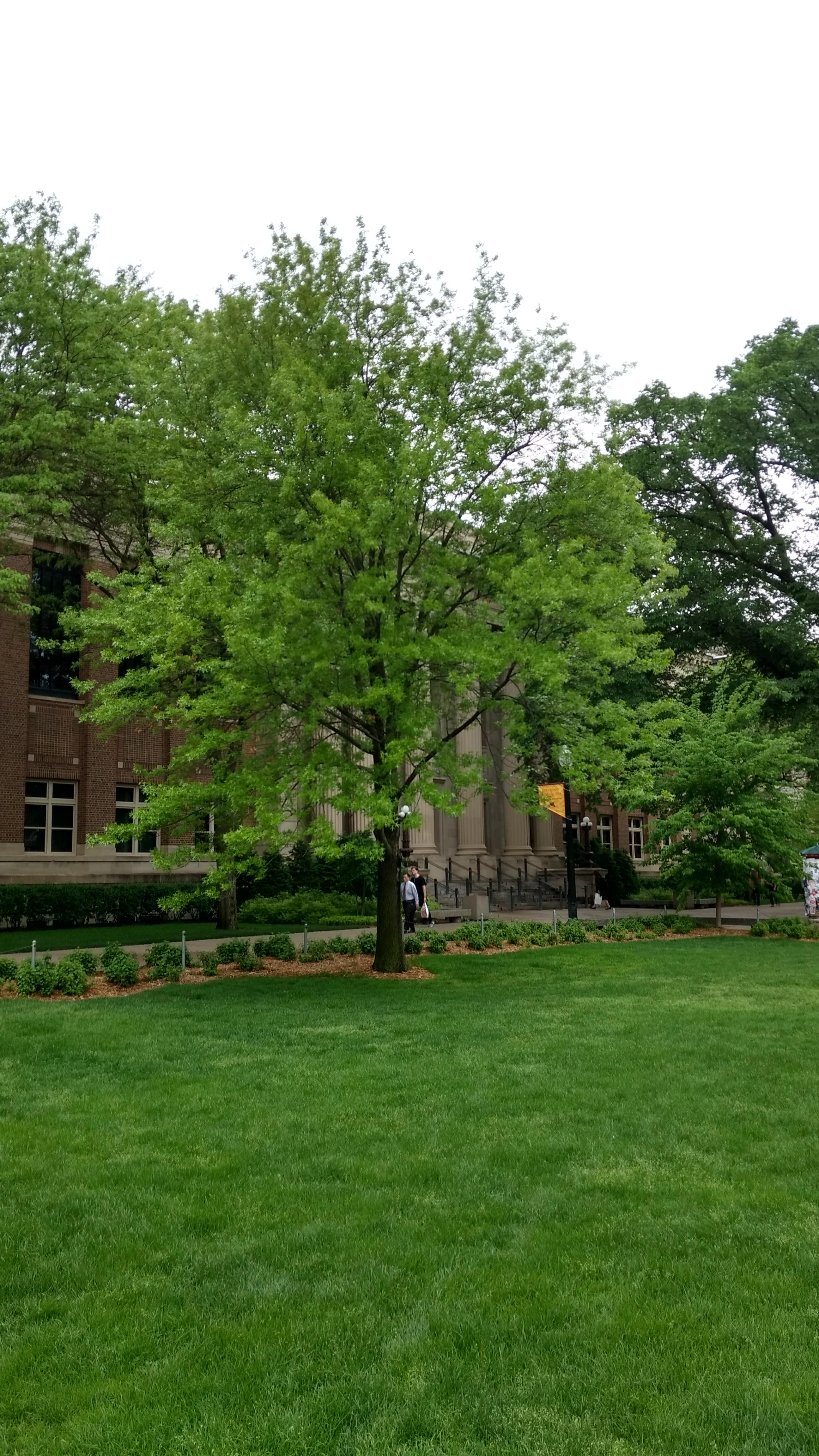 Photo - Outside - Park or Tree on 2017-05-17