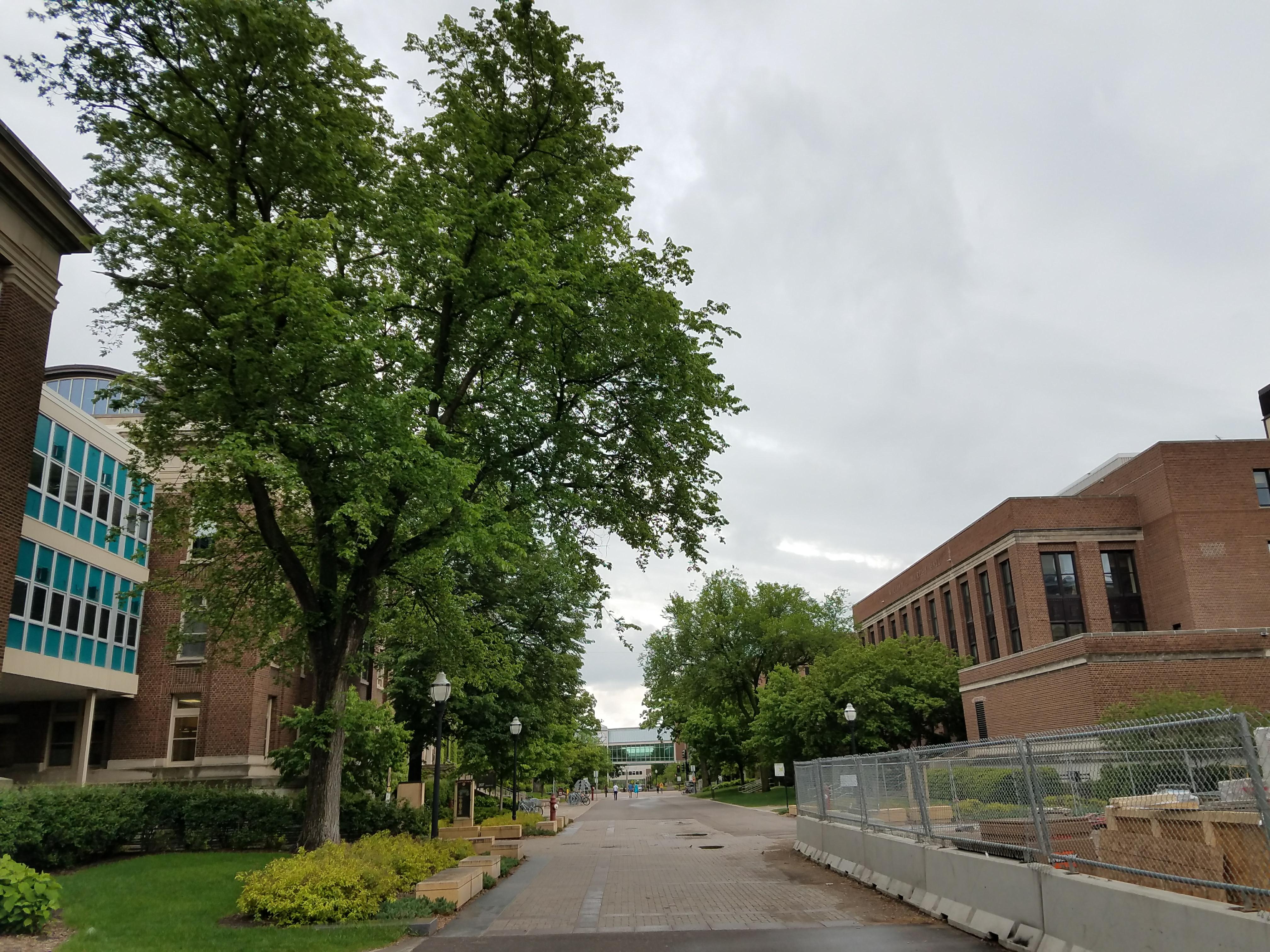 Photo - Outside - Park or Tree on 2017-05-17