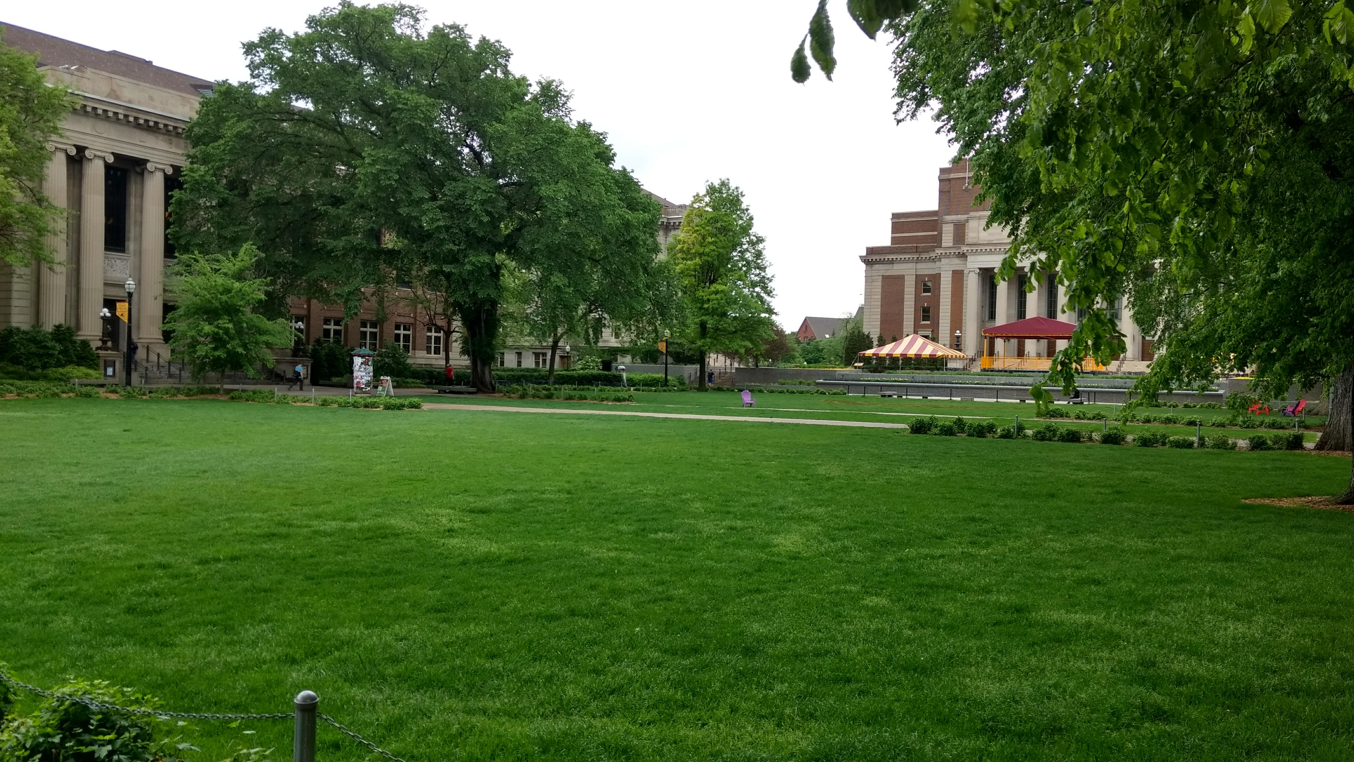 Photo - Outside - Park or Tree on 2017-05-17