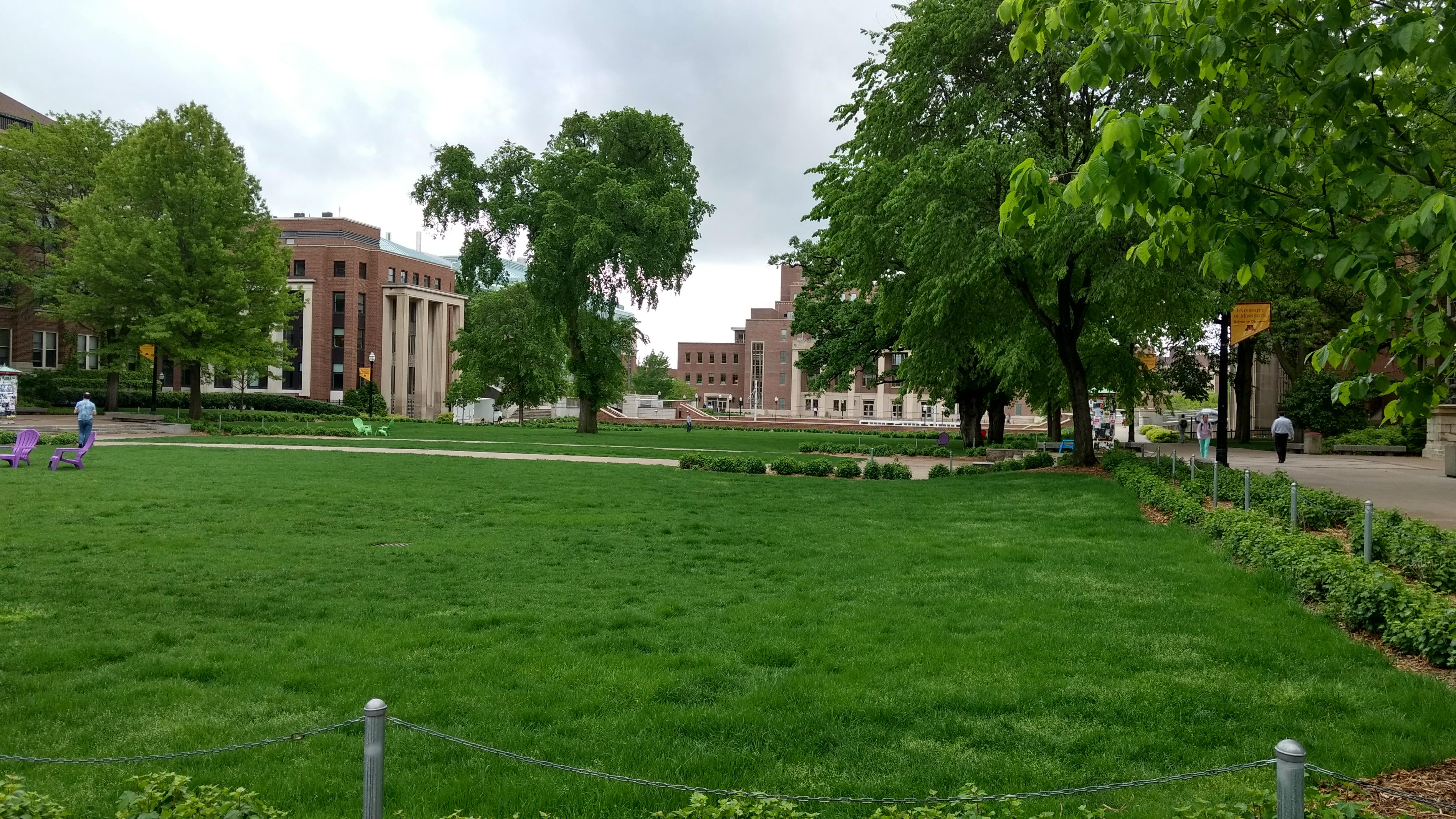 Photo - Outside - Park or Tree on 2017-05-17