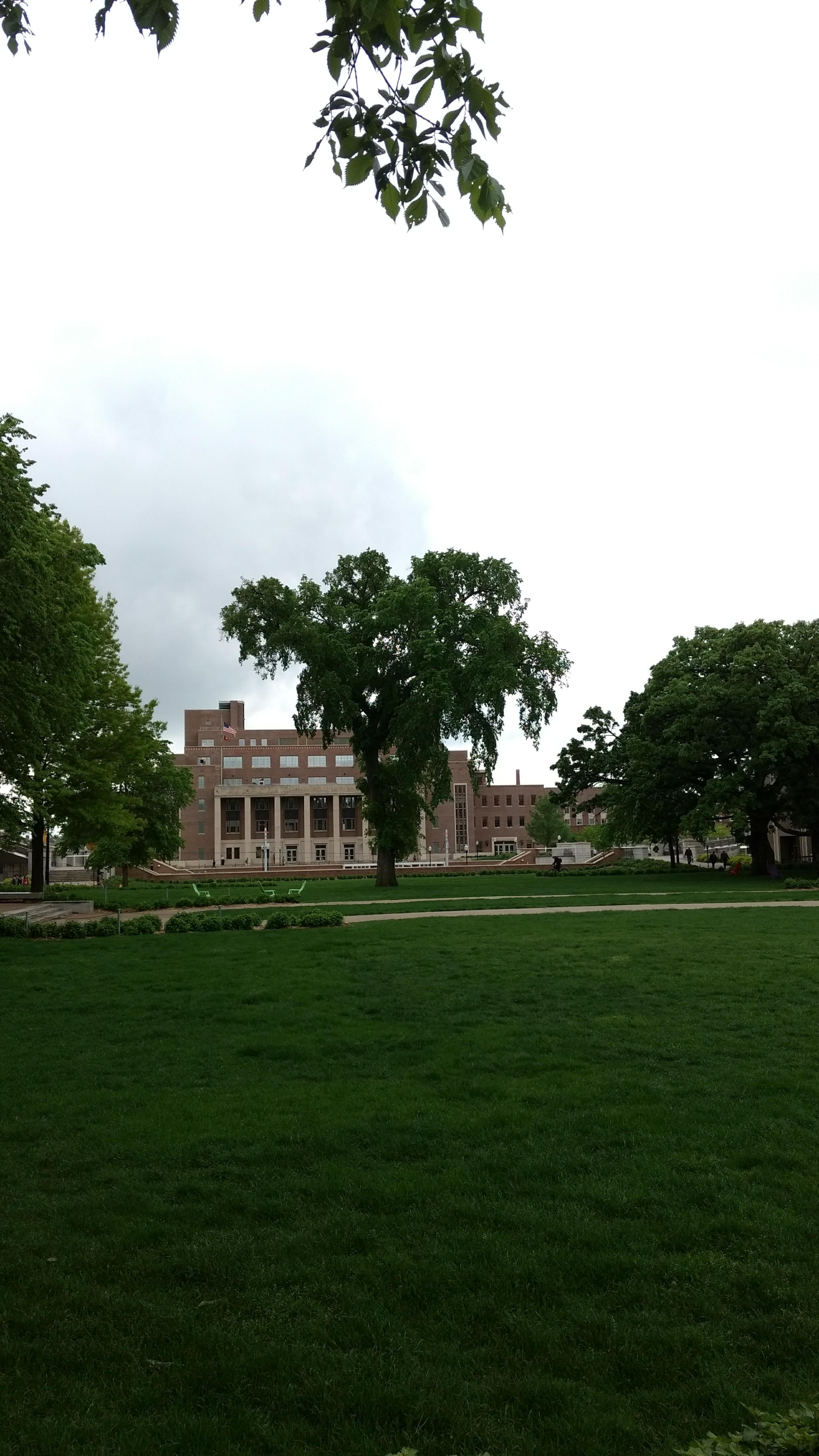 Photo - Outside - Park or Tree on 2017-05-17