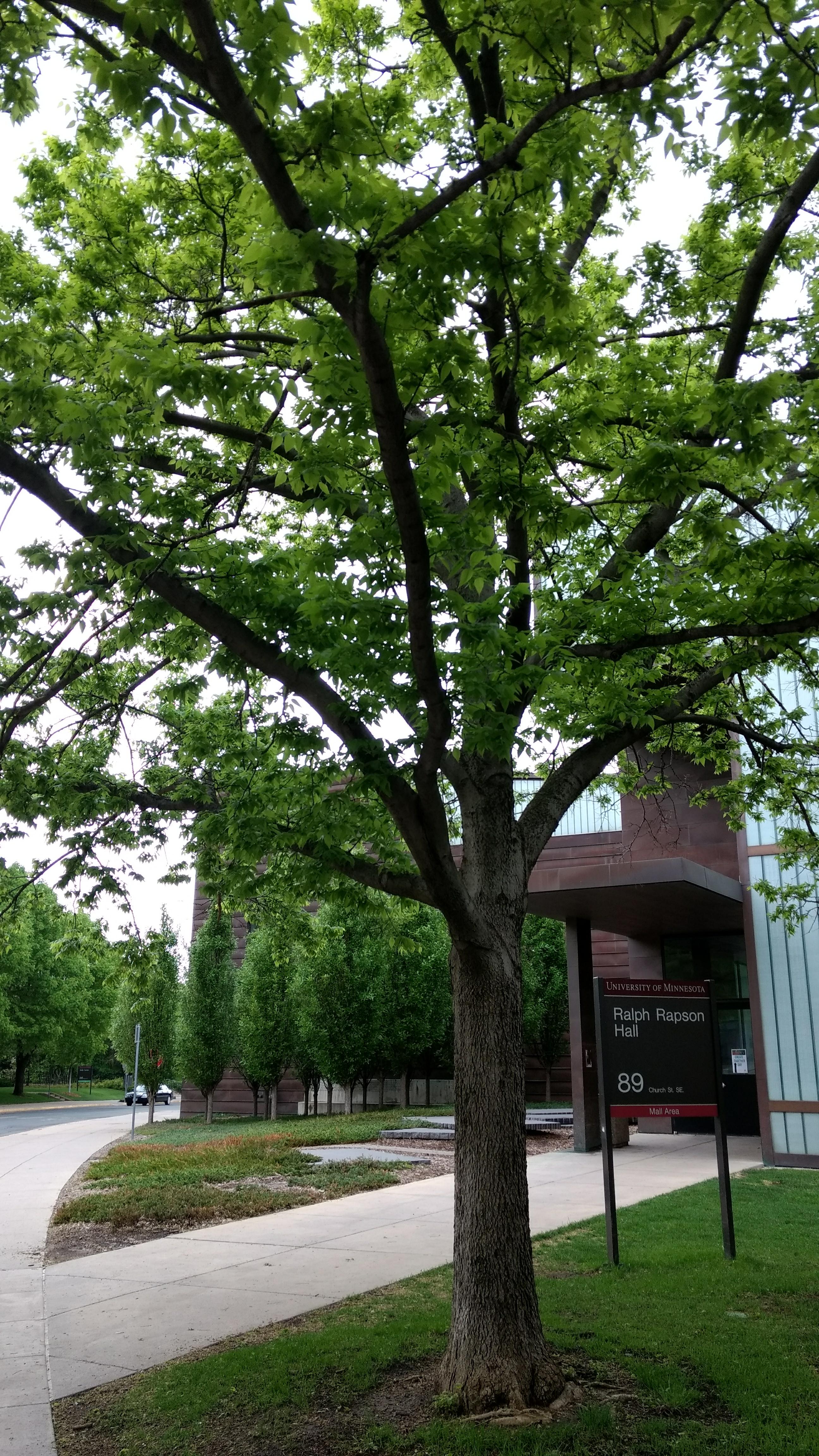 Photo - Outside - Park or Tree on 2017-05-17